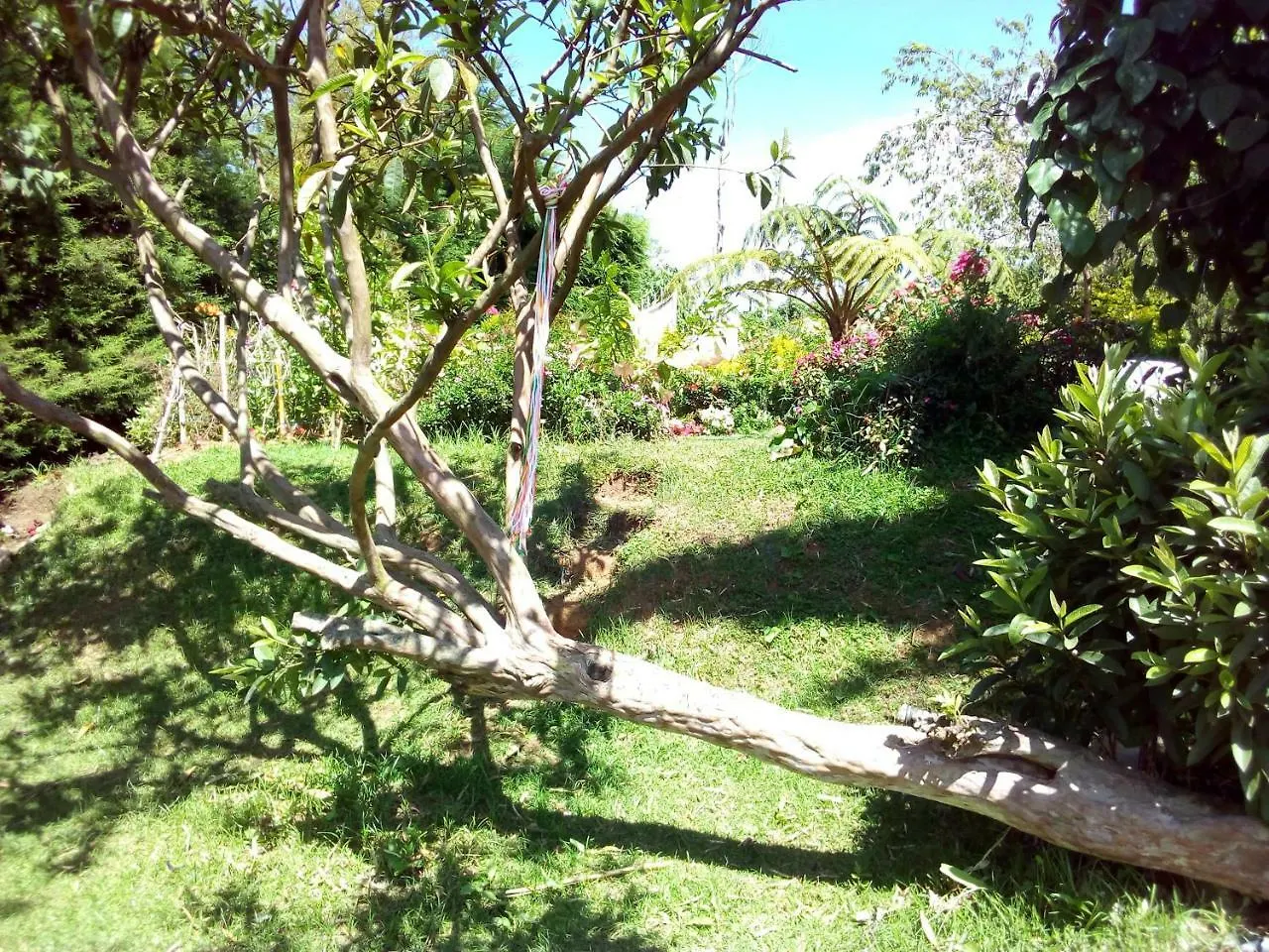 Fairy Hostel Nuwara Eliya